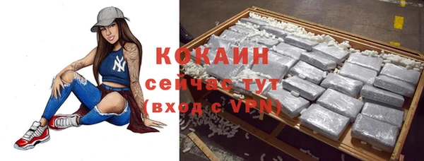 ALPHA PVP Покров
