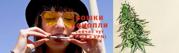ALPHA PVP Покров