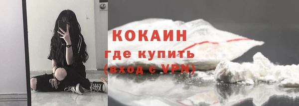 ALPHA PVP Покров