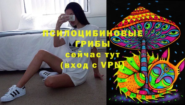 ALPHA PVP Покров