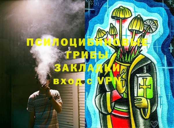 ALPHA PVP Покров