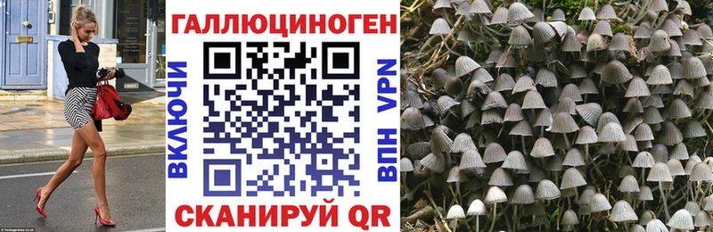 Галлюциногенные грибы Psilocybine cubensis  Шахты 