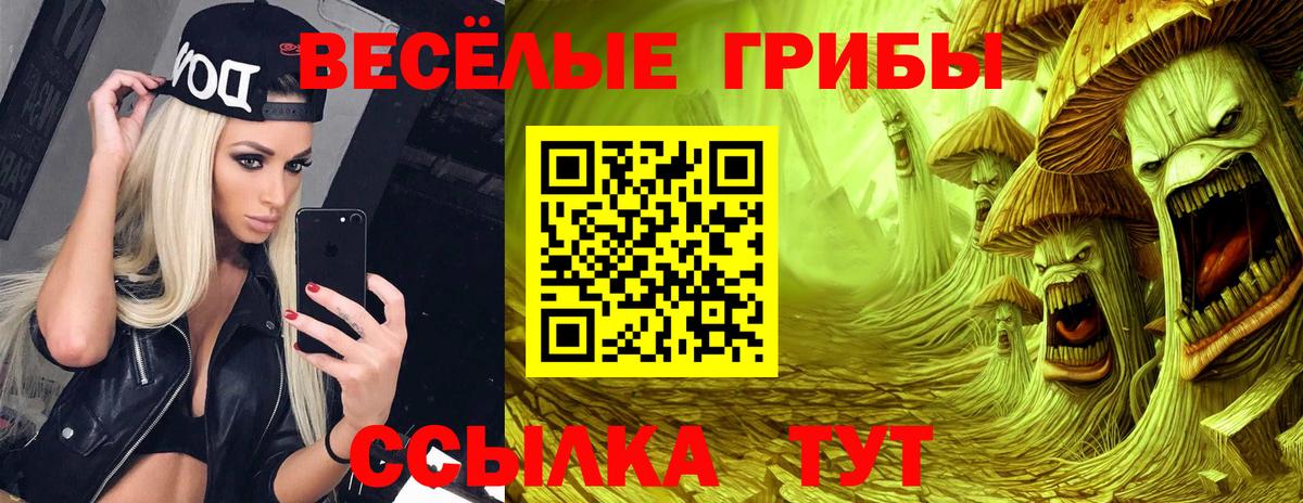 Псилоцибиновые грибы прущие грибы  Шахты 