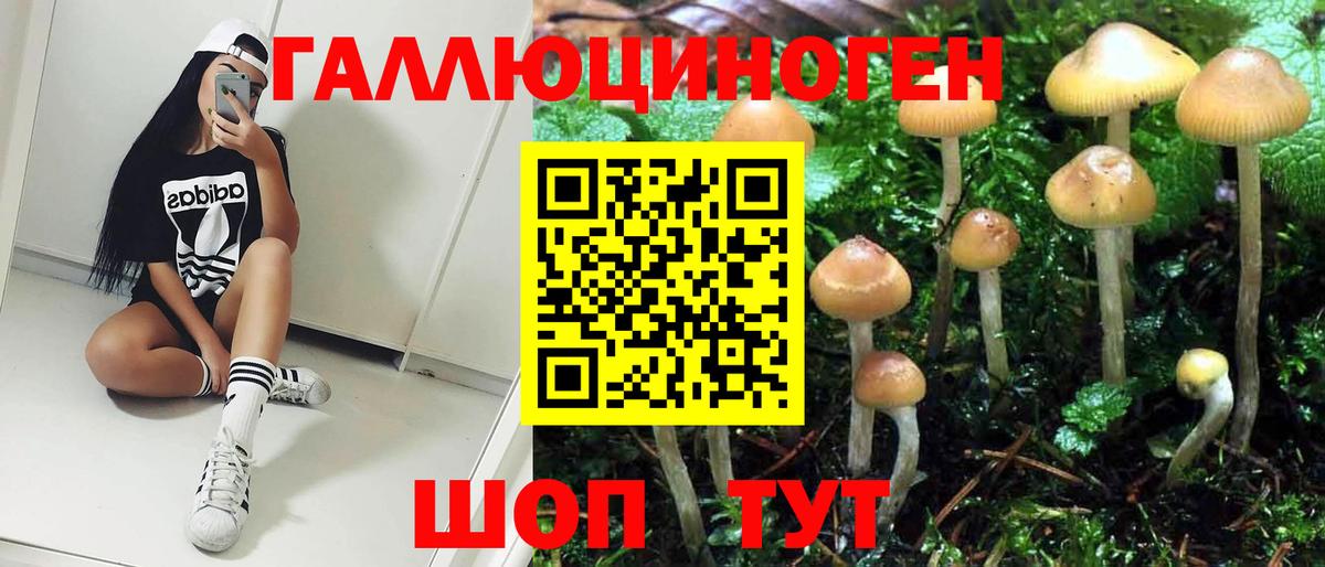 Галлюциногенные грибы Psilocybine cubensis  Галлюциногенные грибы Psilocybe  Шахты  Вход с VPN 