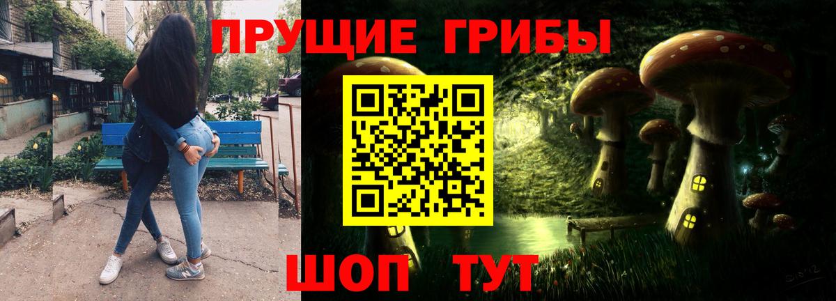 Псилоцибиновые грибы Cubensis Шахты