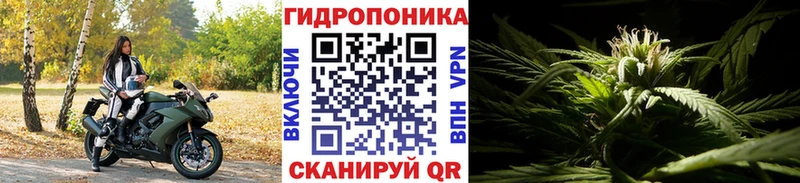 Шишки марихуана сатива  Шахты 